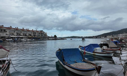 Foça Yerel Balık Festivali başladı