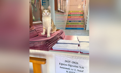 Hayvan sever okul modeli İzmir’de hayat buldu