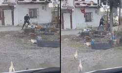 ''Yılandan korkmam, tavuktan korkarım'' dedi, nedeni şaşırttı