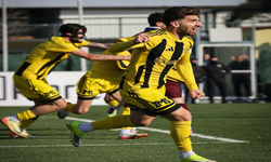 Aliağa FK evinde liderlik peşinde