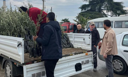 Bayındır’da çiftçiye fidan desteği