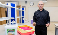 İzmirli akademisyen Aksoy, ceviz kabuğundan kedi kumu üretti