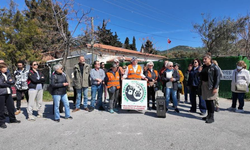 Foça'da Belediye personelinden kadına ve hayvana şiddet iddialı protesto