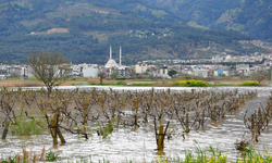 Gediz taşkını üreticiyi tedirgin ediyor