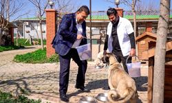 Seferihisar’da israf bitti, bereket başladı: Yemek artıkları mamaya dönüşüyor!