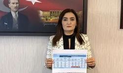 CHP İzmir Milletvekili Kılıç: İşsizlik raporu ağır bir gerçeği işaret ediyor