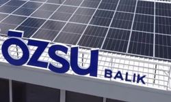 Rekabet Kurumu, Özsu Balık’a 8.1 milyon TL idari para cezası verdi