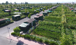 Tarlaya ev yapanlara kötü haber: Hobi bahçelerine sıkı denetim ve cezalar geliyor