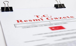 Yumurtacı tavukların kafes standartlarında değişikliğe gidildi