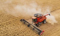Tarım arazilerinin kullanımının etkinleştirilmesine yönelik yeni destek düzenlemesi Resmî Gazete’de yayımlandı