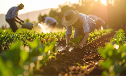 Gübrede gümrük vergisi sıfırlandı