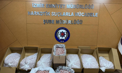 İzmir Buca’da 356 bin sentetik hap ele geçirildi