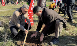 Saadet Partisi'nden fidan dikim etkinliği