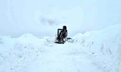 Süphan Dağı tırmanışına tipi engeli: İzmirli dağcılar geri döndü