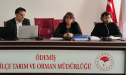 Ödemiş’te şap tedbirleri kaldırıldı: Hayvan sevkleri serbest bırakıldı