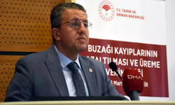 İzmir’de “Buzağı kayıplarının azaltılması” eğitimi: “Stratejik öneme sahip”