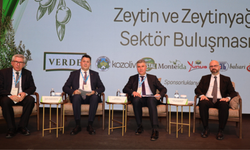 Zeytinyağında yeni yol haritası: Hedef doğru rekolte ve AB kotasında artış