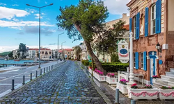 Foça’da “Yerel Balık Festivali” ile deniz kültürü canlanıyor