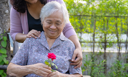 20 yıllık araştırma: Basit zihinsel egzersiz demans riskini yüzde 25 azaltabiliyor