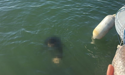 İzmir Konak’ta acı olay: Akülü sandalye ile denize düşen kişi hayatını kaybetti