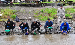 Türkiye'nin dört bir yanından İzmir'e gelip derede altın aradılar