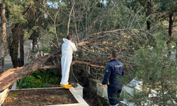 İzmir'de fırtınanın zarar verdiği mezarlıklarda onarım başladı