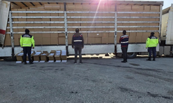 İzmir’de kaçak sigara operasyonu: 500 bin paket ele geçirildi