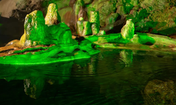 Kamboçya’daki mağarada farklı bir dünya ortaya çıktı: Uçan yılan ve birçok yeni canlı türü keşfedildi