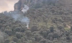 Şirince çıkışında ormanlık alanda yangın paniği
