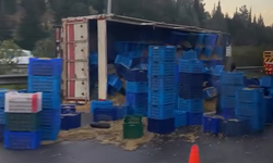 Torbalı'da TIR kazası: Trafik tek şeride düştü