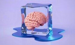 Bilim açıkladı: Zihin nasıl genç kalır?