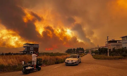 Bakanlık açıkladı: 2025’te Türkiye'de orman yangını en çok İzmir’de çıktı