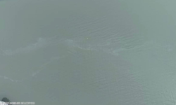 İzmir Körfezi’nde kirlilik alarmı: Aynı sorun 11. kez tespit edildi