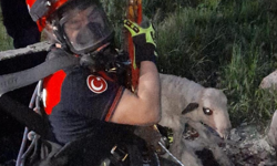 Kuyuya düşen kuzuya itfaiyeden zamanla yarışan kurtarma