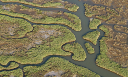 Gediz Havzası’nda kirlilik artıyor