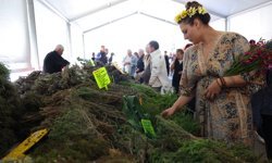 Alaçatı Ot Festivali'nde söyleşiler ve gastronomi bir arada