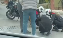 Bayraklı'da polis ekipleri yere dökülen zeytinleri tek tek topladı