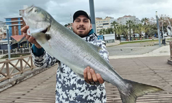 Bayraklı'da dev balık yakalandı
