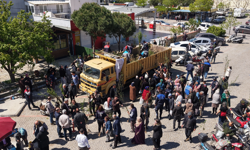 Bergama'dan üretime büyük destek: Ahlat ağaçları aşılandı, binlerce fidan dağıtıldı