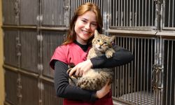 Buca’da örnek proje: 599 sokak hayvanı yeni yuvasına kavuştu