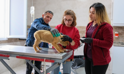 Menemen Belediyesi 50 bin can dosta umut oldu