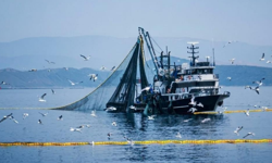 Denizlerde av yasağı 15 Nisan'da başlıyor