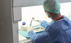 Türkiye'nin 'ilk ve tek deri bankası' bağış çağrısı yaptı