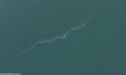 İzmir Körfezi’nde alarm: 6 ayda 13 dış kaynaklı kirlilik tespit edildi