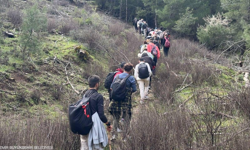 İzmir Efes Mimas Yolu'nda bahar yürüyüşü