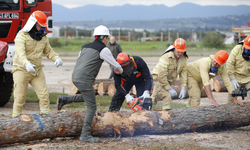 İzmir etabında kıyasıya mücadele: Ormancılık yarışmalarının kazananı Bergama oldu