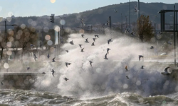 İzmir için fırtına alarmı: 8 ilçeye sarı kod uyarısı