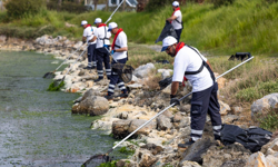 Çakalburnu Lagünü’nde yosunlara karşı yoğun müdahale