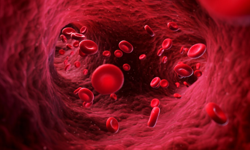 Hemofili ömür boyu süren bir hastalık: Erken tanı ve farkındalık hayati önem taşıyor