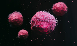 Tümörlerde yaşayan mikroplar kanserin seyrine ışık tutuyor